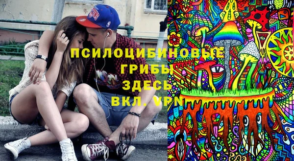 прущая мука Богородск