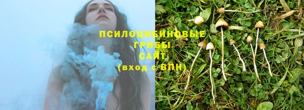 apvp Богородицк