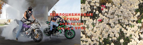 apvp Богородицк